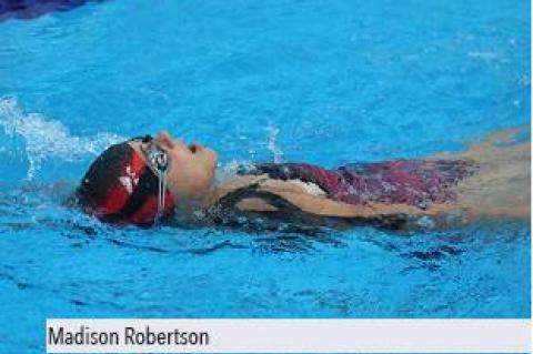 Article Image Alt Text