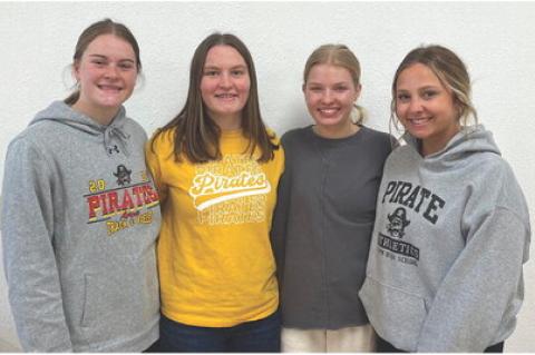 Article Image Alt Text