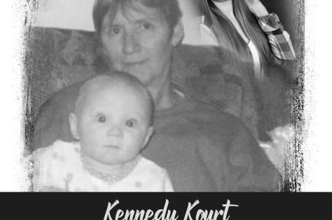 Article Image Alt Text