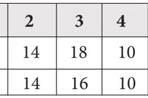 LADY PIRATES BATTLE TOUGH WAGNER TEAM