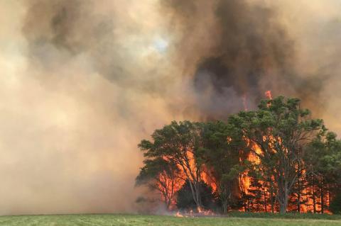 Article Image Alt Text