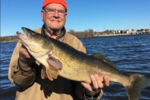 THE MYSTERIOUS PICKSTOWN BUFFALO HERD
