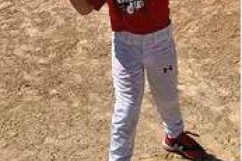 Article Image Alt Text