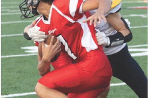 Article Image Alt Text