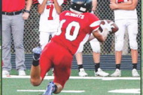 Article Image Alt Text