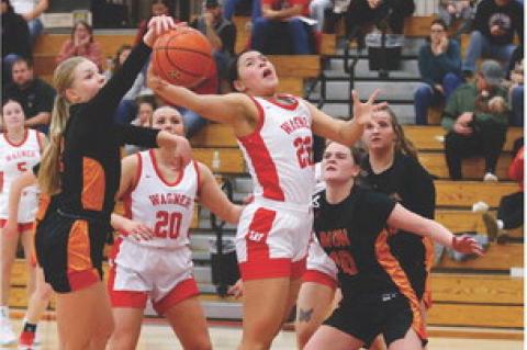 Article Image Alt Text