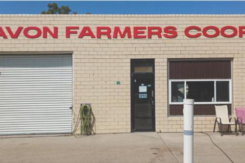 Article Image Alt Text