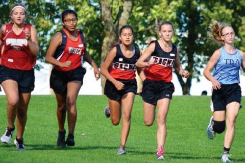 Article Image Alt Text