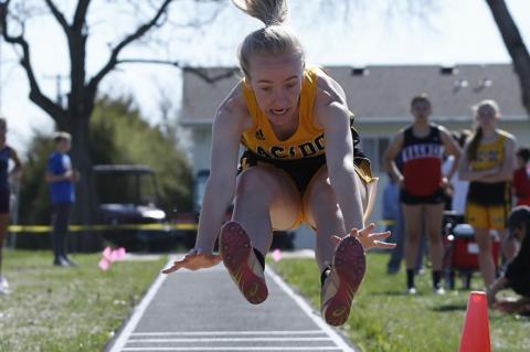 Article Image Alt Text