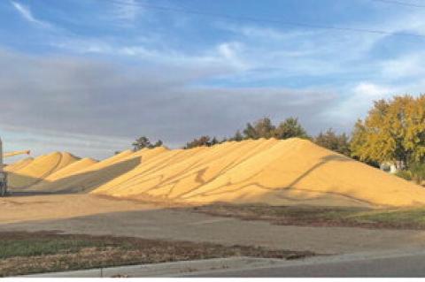 Article Image Alt Text