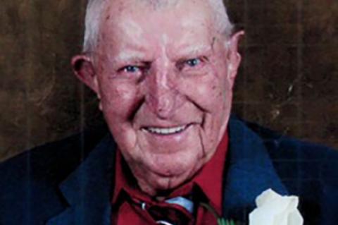 Article Image Alt Text