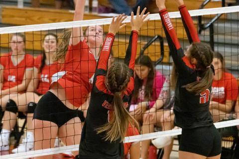 Article Image Alt Text