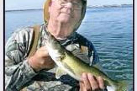 Article Image Alt Text