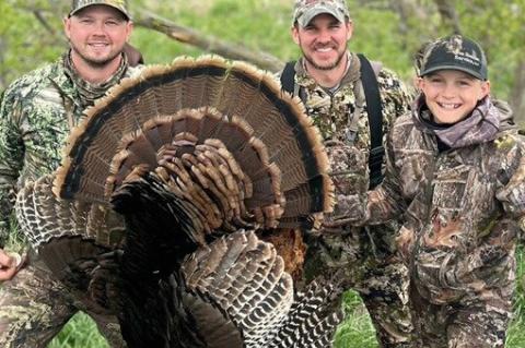 Article Image Alt Text