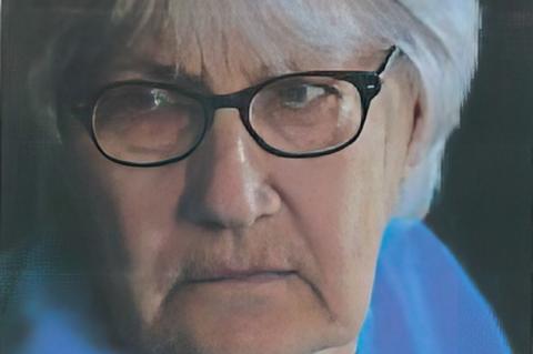 Article Image Alt Text