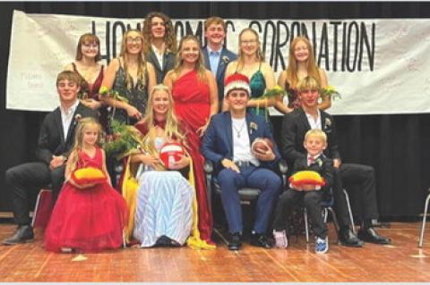 Article Image Alt Text