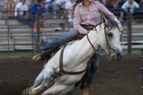 Article Image Alt Text