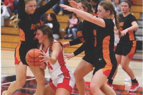 Article Image Alt Text