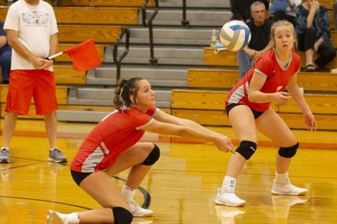 Article Image Alt Text