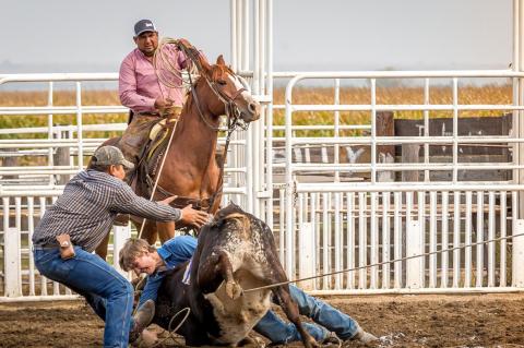 LOCAL RIDERS ATTEND RANCH RODEO