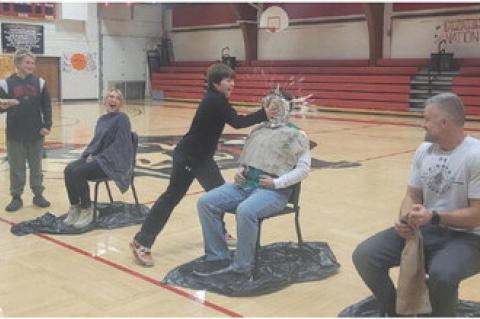 Article Image Alt Text