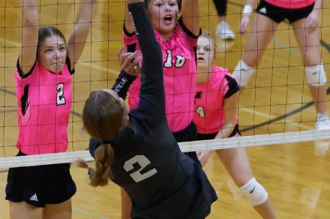 Article Image Alt Text