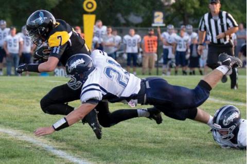 Article Image Alt Text