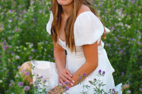 Article Image Alt Text