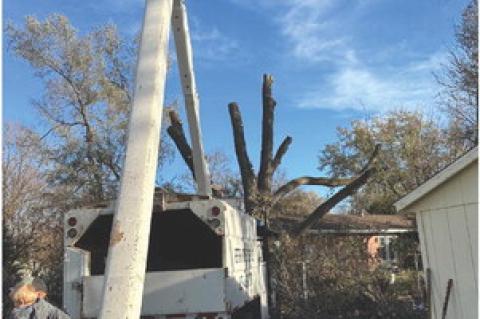 Article Image Alt Text