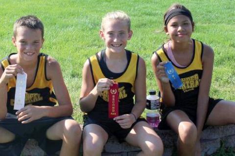 Article Image Alt Text