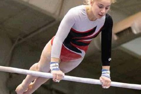 Article Image Alt Text