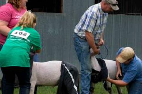 Article Image Alt Text