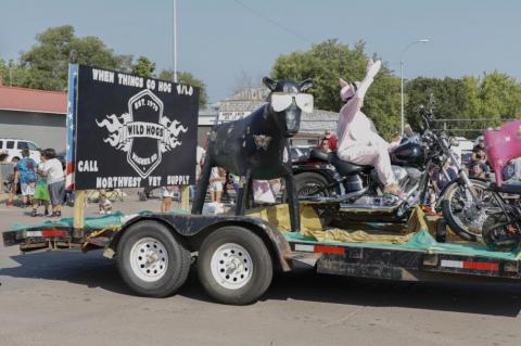 Article Image Alt Text