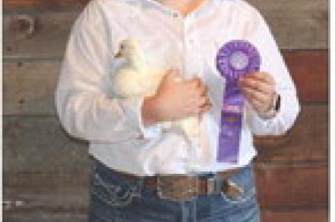 Article Image Alt Text