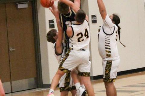 Article Image Alt Text