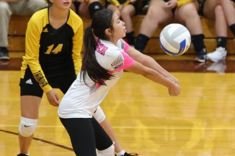 Article Image Alt Text