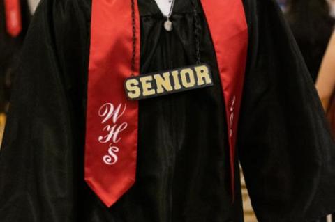 Article Image Alt Text