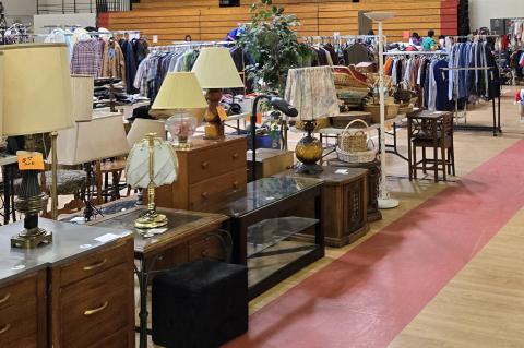 Article Image Alt Text