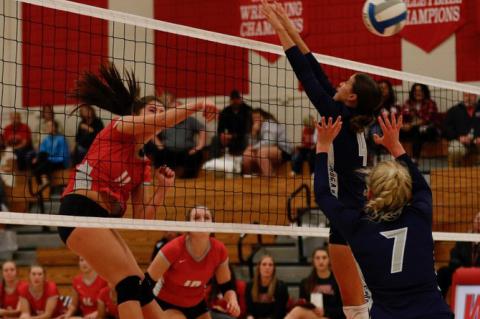 Article Image Alt Text