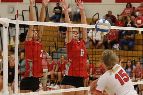 Article Image Alt Text