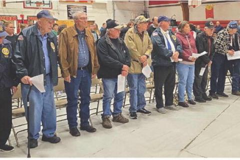 Article Image Alt Text