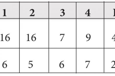 LADY PIRATES DEFEAT WOLVES