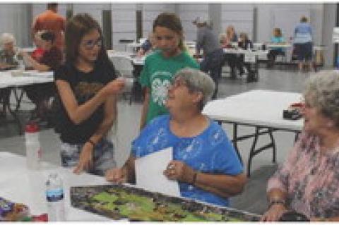 Article Image Alt Text