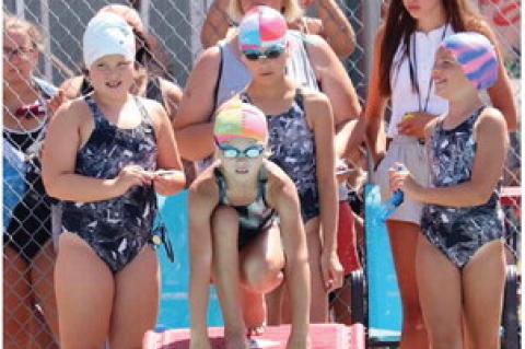 Article Image Alt Text