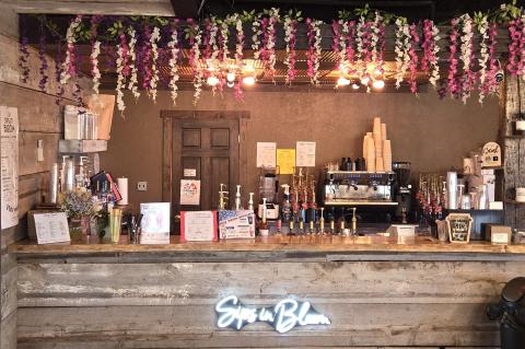 Article Image Alt Text