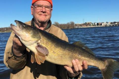 Article Image Alt Text