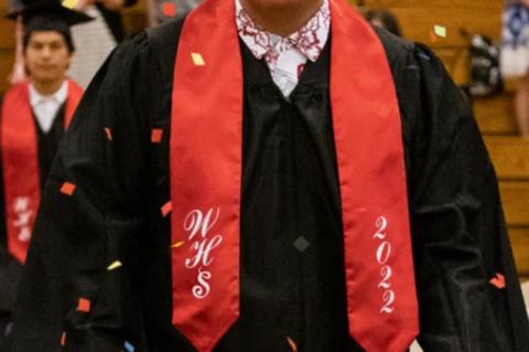 Article Image Alt Text