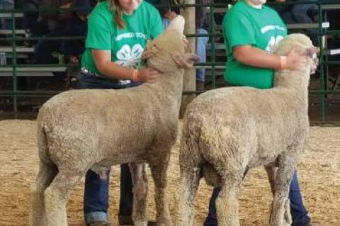 LOCALS COMPETE AT SD STATE FAIR