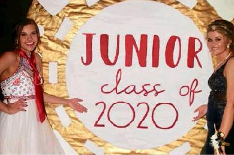 Article Image Alt Text