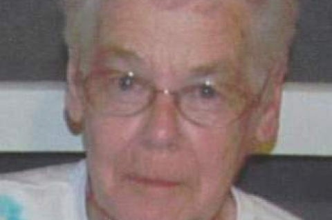 Article Image Alt Text